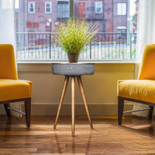 Load image into Gallery viewer, Mersenne Speaker Table